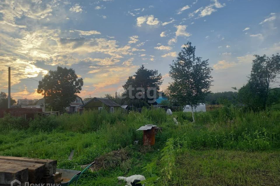 земля р-н Хабаровский п Победа городской округ Комсомольск-на-Амуре, Ломоносова, 33 фото 3