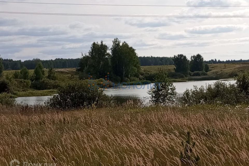 земля р-н Богородский д Кубаево ул Калинина 28 фото 3