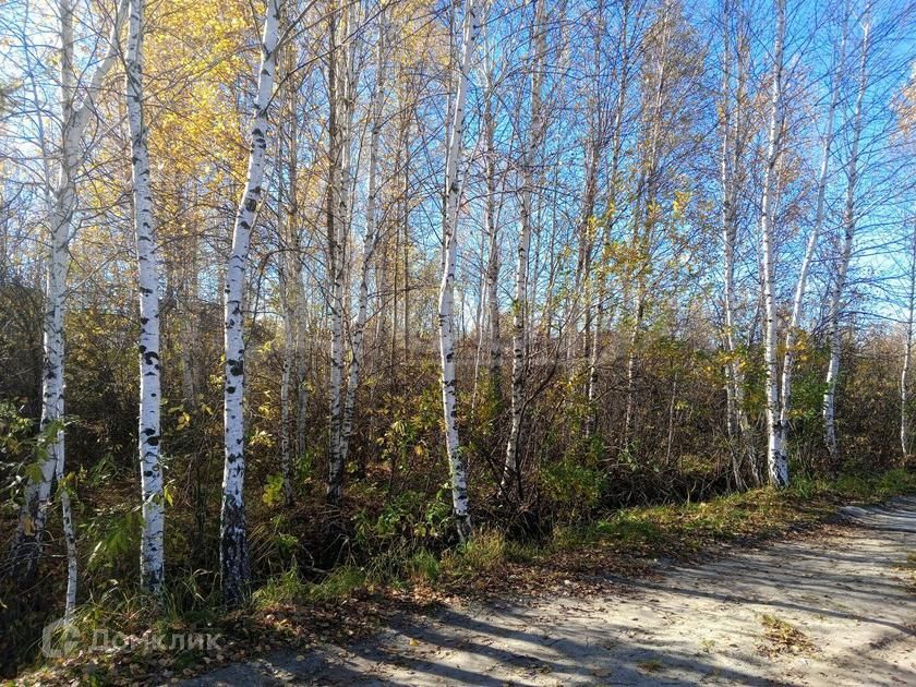 земля г Тюмень Тюмень городской округ, ДНТ Берёзка-3 фото 2