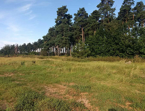 земля г Самара ул Собинская городской округ Самара фото 3