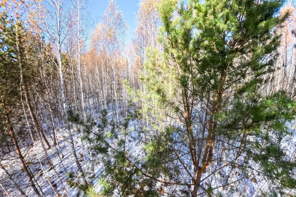 земля р-н Тюменский с Перевалово Сиреневая фото 3