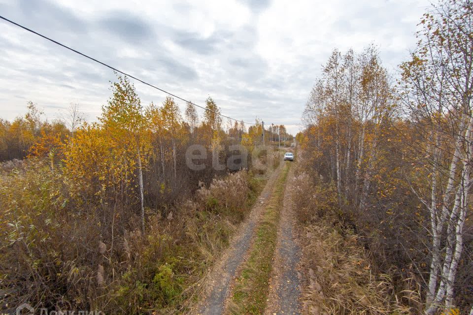 земля г Тюмень снт Изыскатель ул Солнечная Тюмень городской округ фото 4