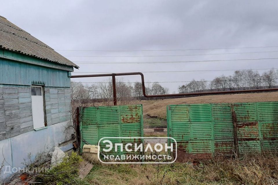 земля р-н Курский Муравлево Щетинский сельсовет фото 2