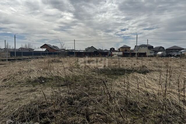 Саранск городской округ, Николаевка фото