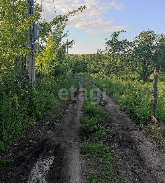 земля г Саранск р-н Ленинский Саранск городской округ, СТ Зелёный друг фото 1