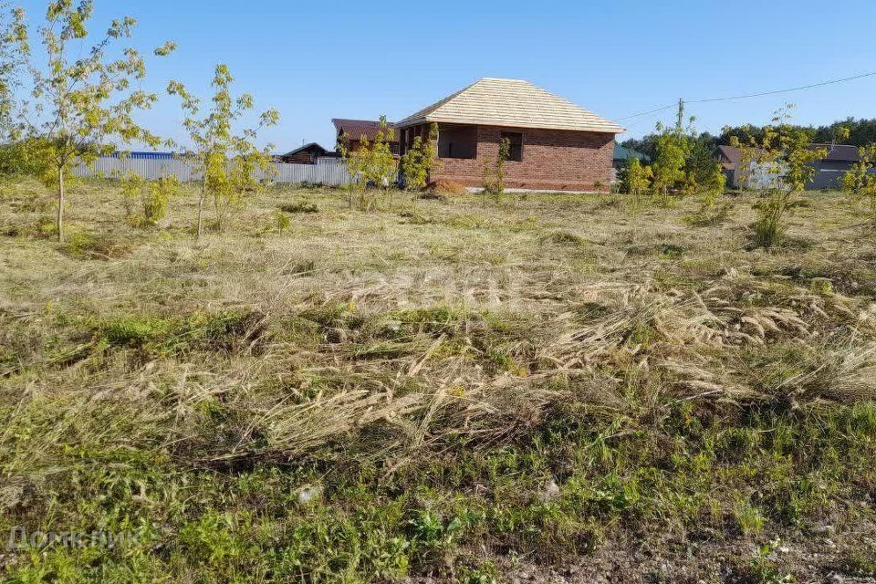 земля Саранск городской округ, Николаевка фото 2