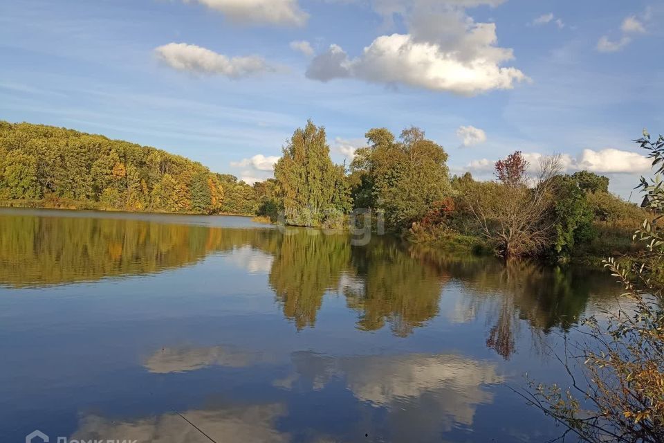 земля р-н Белебеевский фото 4