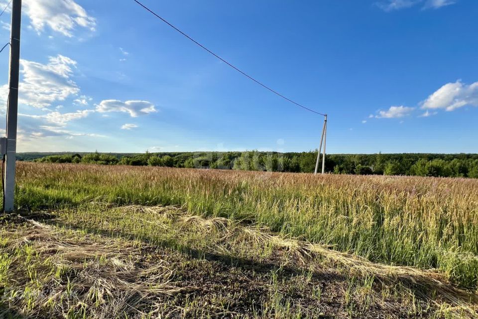 земля г Саранск п Добровольный ул Лесная 134 Саранск городской округ фото 2