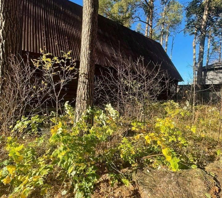 земля г Новосибирск Пражская, городской округ Новосибирск фото 5