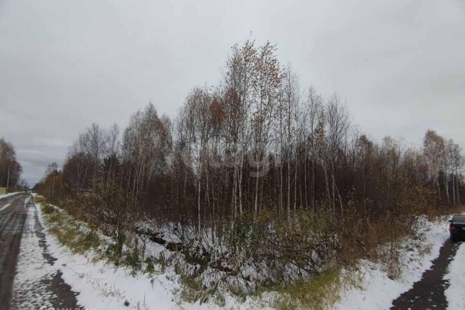 земля г Тюмень снт Липки Тюмень городской округ, Берёзовая улица фото 9