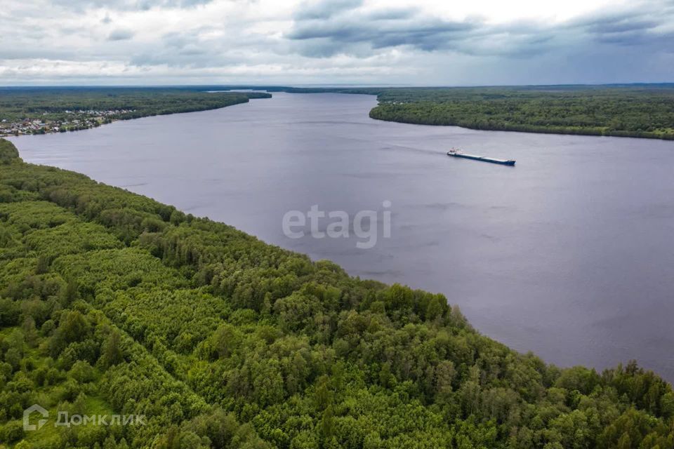 земля р-н Шекснинский фото 5