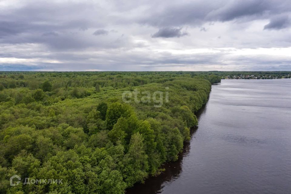 земля р-н Шекснинский фото 7