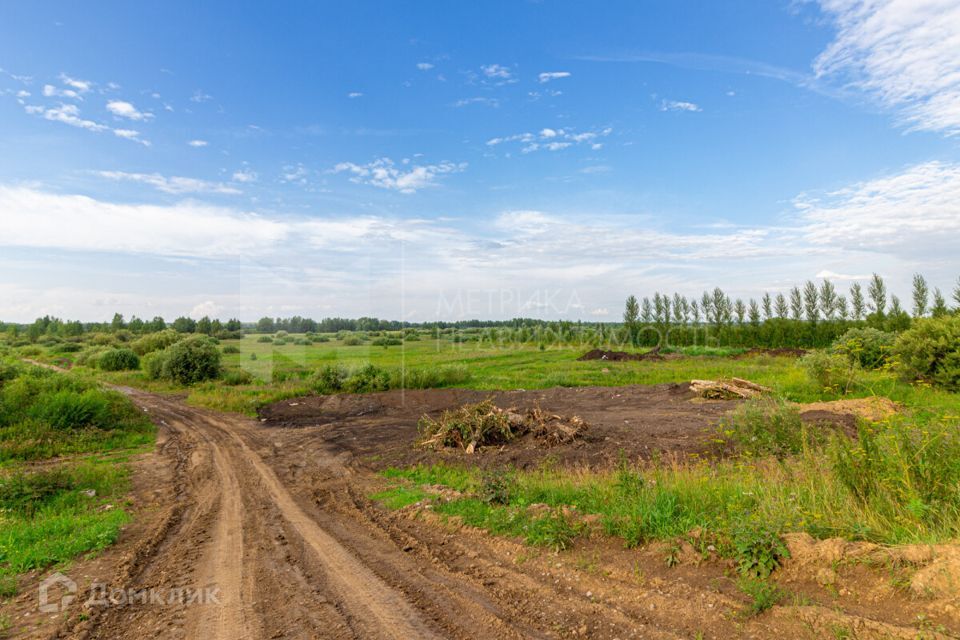 земля р-н Тюменский фото 6