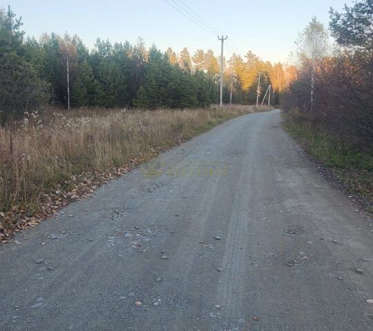 Ревда городской округ, Починок фото