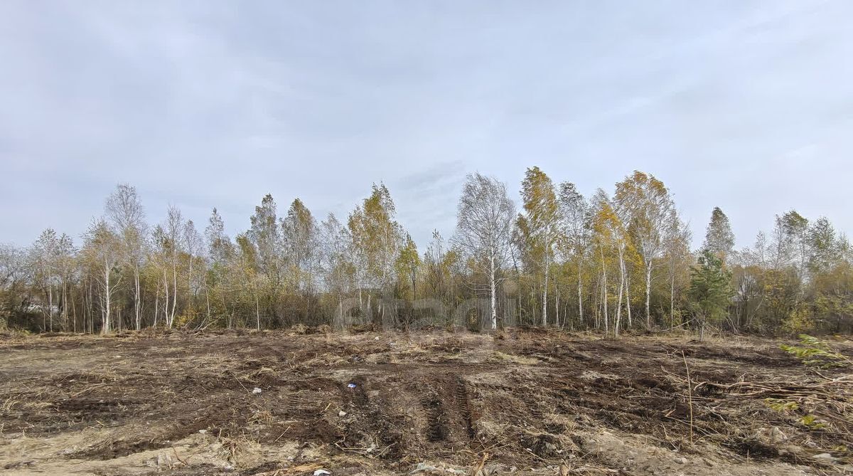 земля г Тюмень р-н Центральный нка садовое товарищество, ул. Мичуринцев фото 20