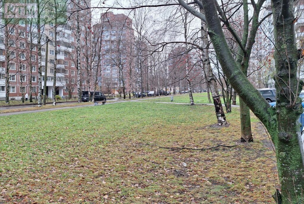 квартира г Санкт-Петербург метро Политехническая пр-кт Тихорецкий 27к/2 фото 2