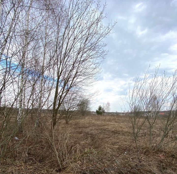 земля городской округ Чехов д Алексеевка ул Малиновая фото 3