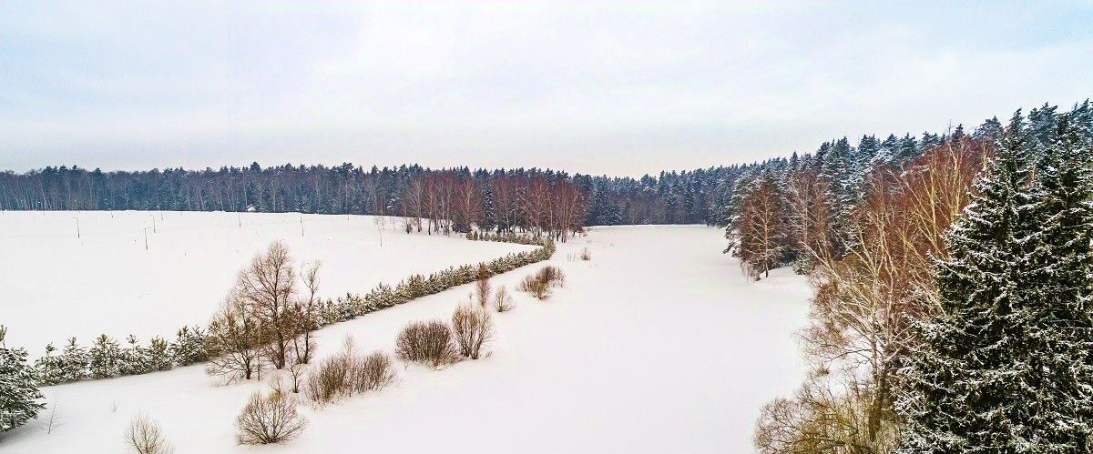 земля городской округ Ступино с Мышенское фото 29