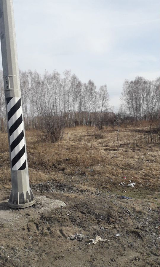 земля р-н Тюкалинский г Тюкалинск Тюкалинское городское поселение, СТ Берёзка фото 4