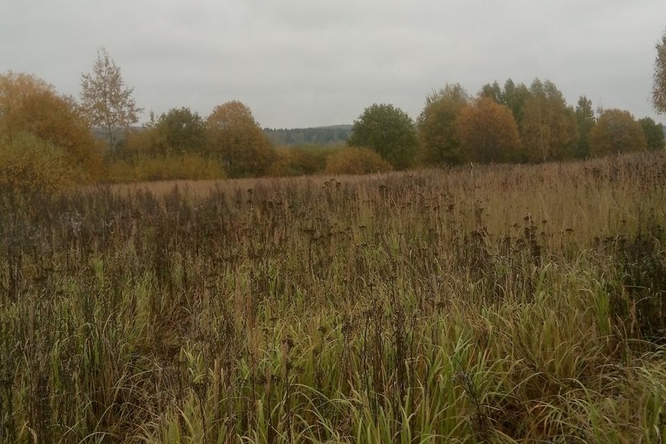 земля городской округ Солнечногорск д. Вертлино фото 1