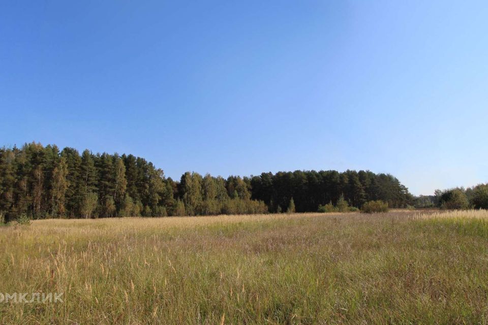 земля городской округ Богородский фото 2