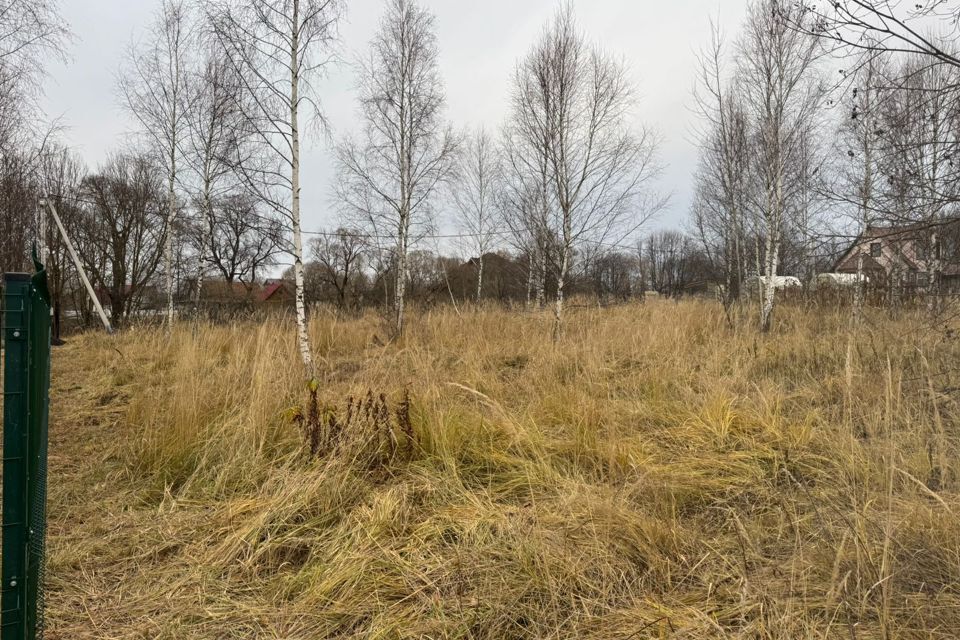 земля городской округ Чехов д Алексеевка 33/2 фото 6