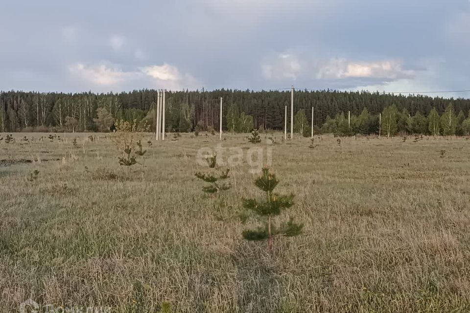 земля р-н Сармановский Республика Татарстан Татарстан фото 8