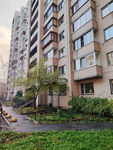 р-н Московский округ Гагаринское, Ленинградская область фото