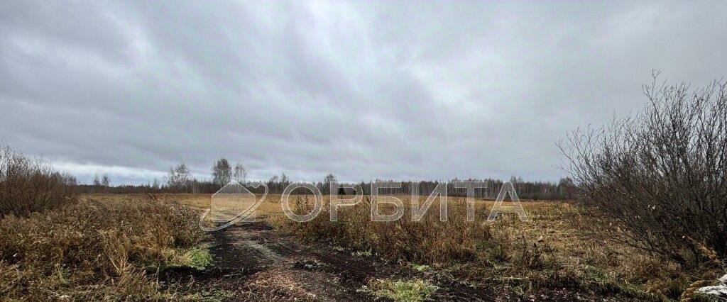 земля р-н Нижнетавдинский д Нижние Тарманы ул Дружбы фото 4