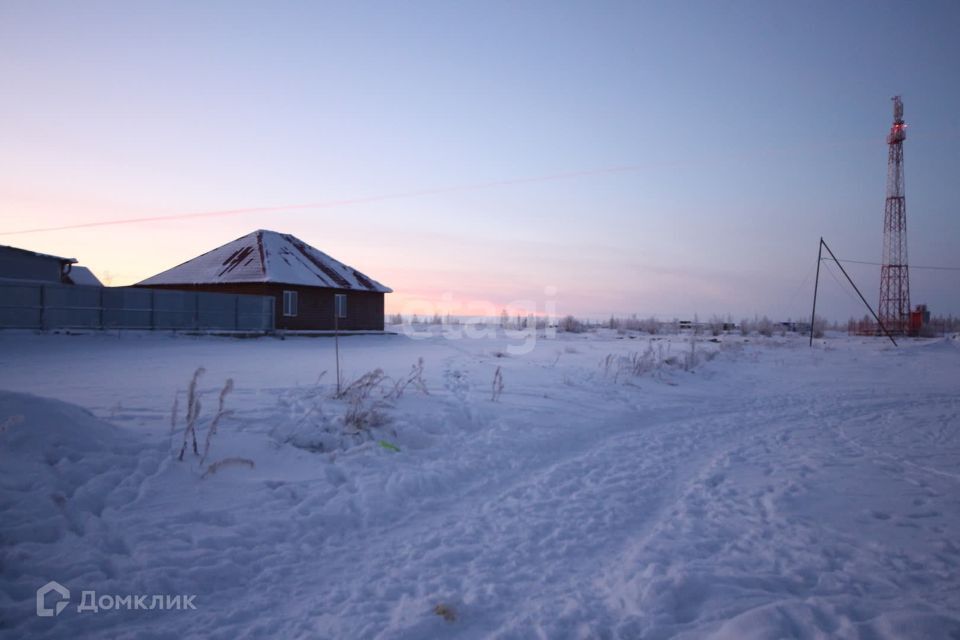 земля г Новый Уренгой Новый Уренгой городской округ, ДНТ Фемида фото 6