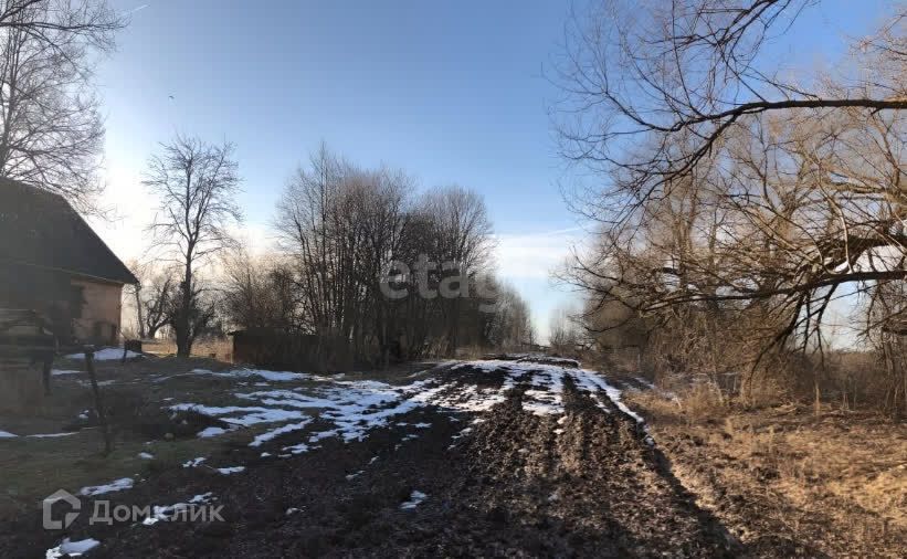 земля р-н Бабынинский Рыково фото 5