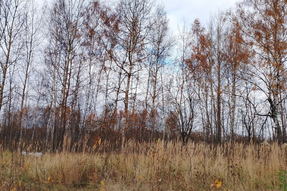 земля городской округ Орехово-Зуевский д. Кудыкино фото 2