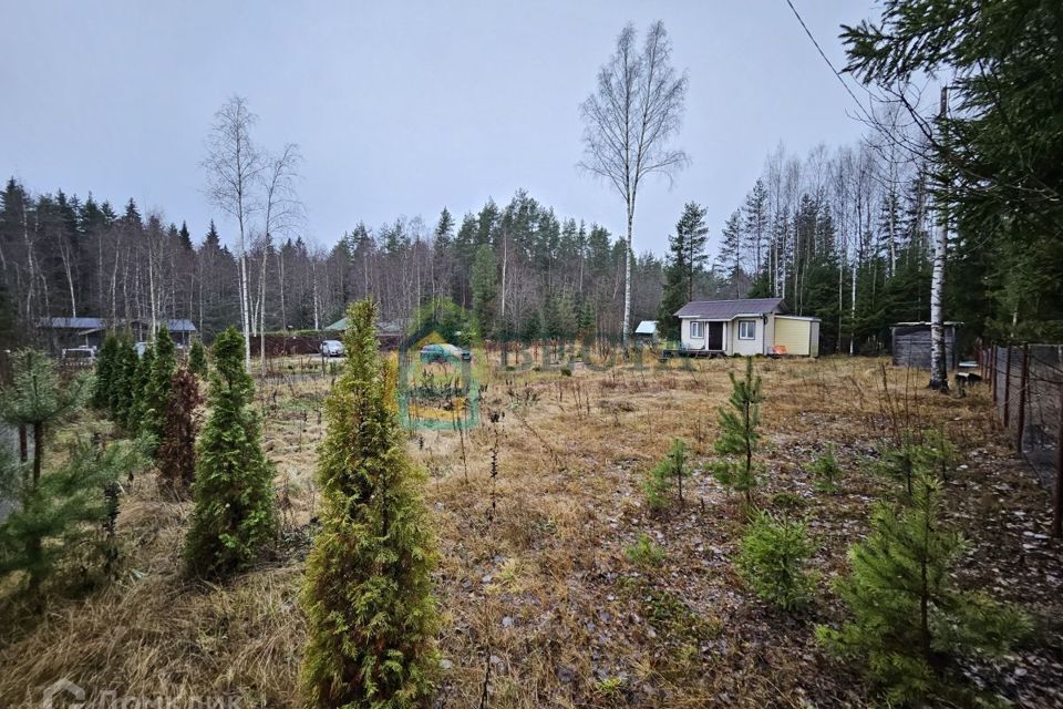 земля р-н Выборгский СНТ Славино-1 фото 5