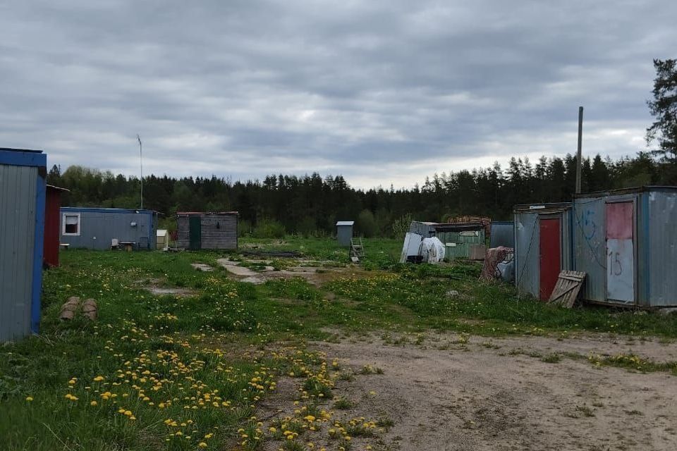 земля р-н Приозерский д Раздолье ул Центральная 4/65 Раздольевское сельское поселение фото 9