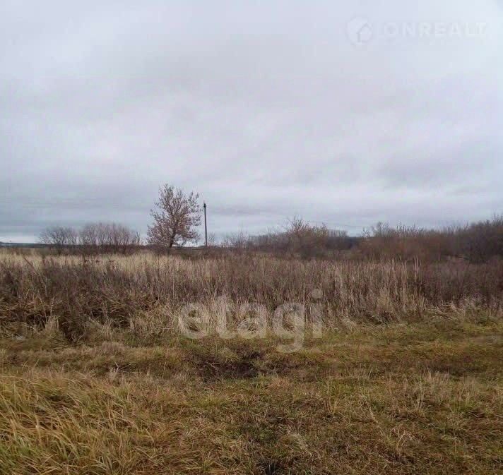 земля г Саранск рп Луховка ул Садовая фото 5