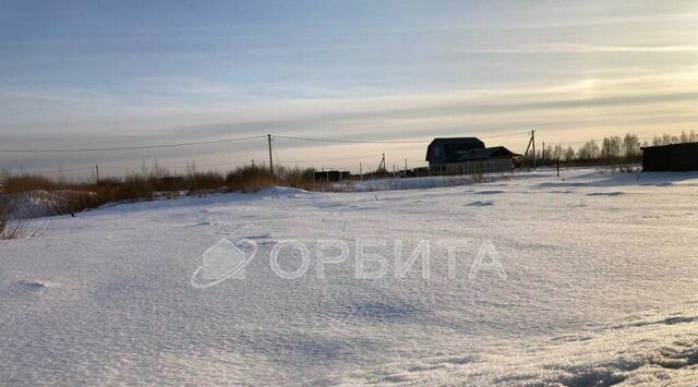 р-н Центральный снт Царево ул Тальниковая Центральный административный округ фото