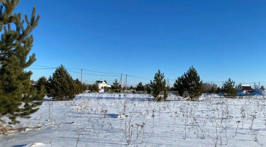 земля р-н Тюменский с Каменка Подушкино ДНТ, проезд Изюмный фото 5