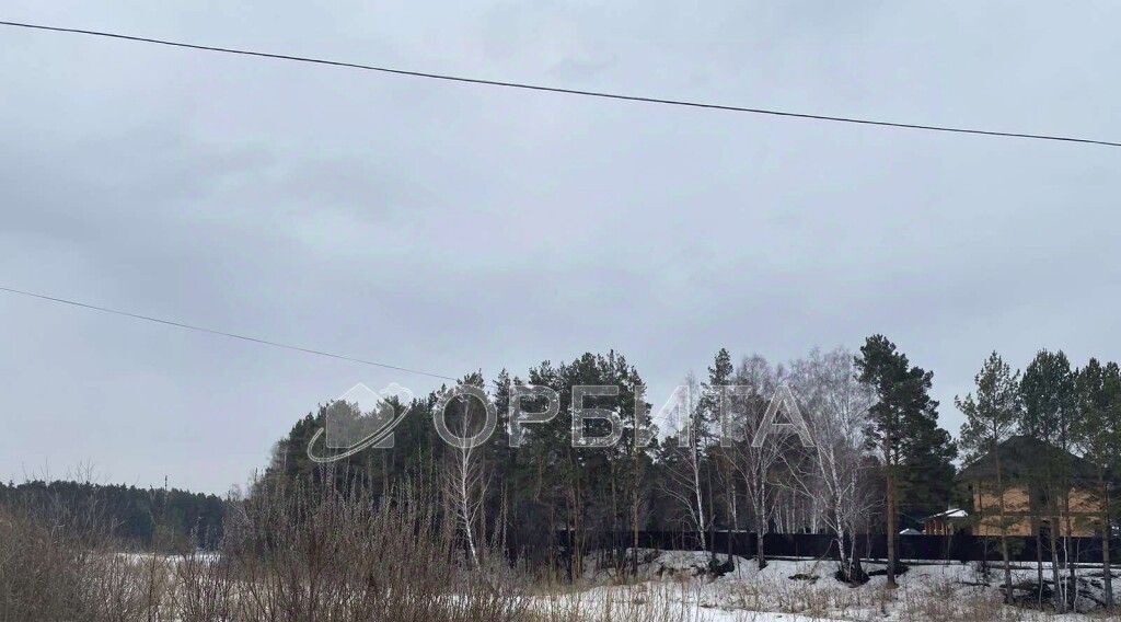 земля р-н Тюменский д Ушакова ул Зеленая Переваловское сельское поселение фото 7