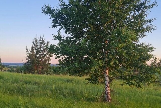 земля рп Комсомольский ул Республиканская Комсомольское городское поселение фото