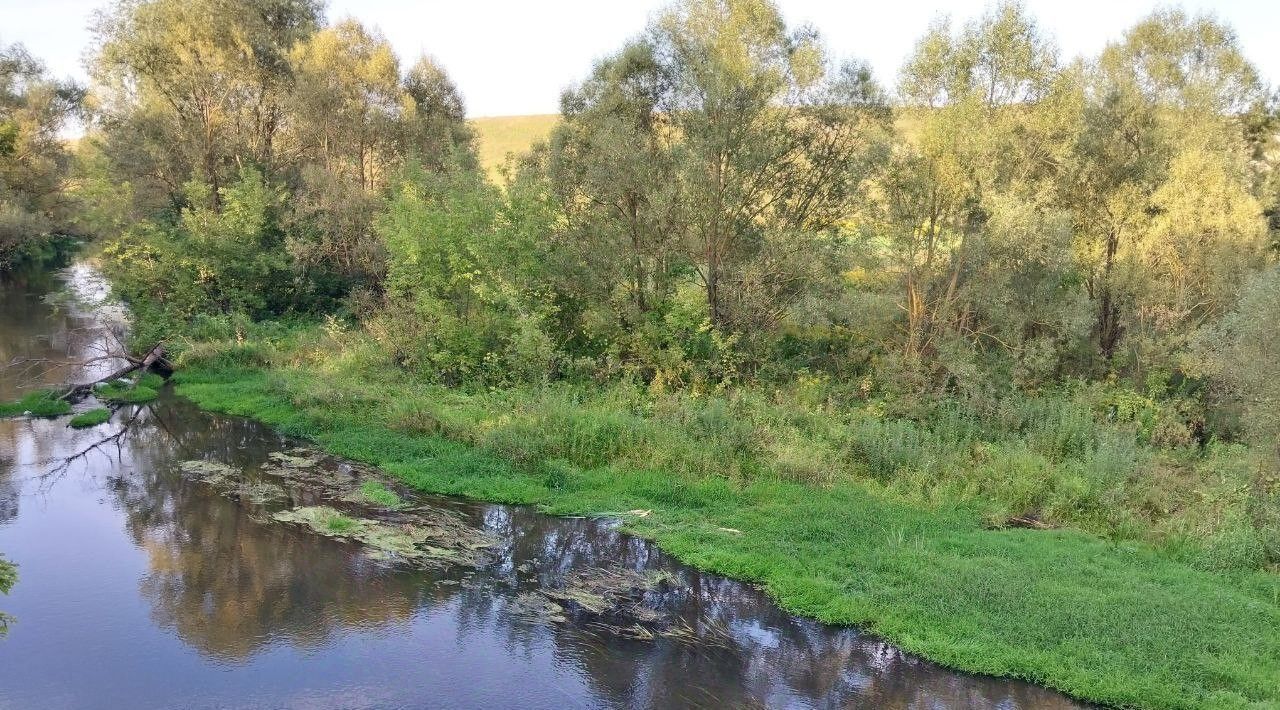 земля р-н Орловский д Медведево ул Алексеевская фото 2