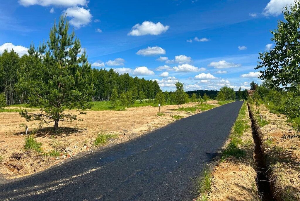 земля городской округ Истра д Слабошеино Нахабино фото 13