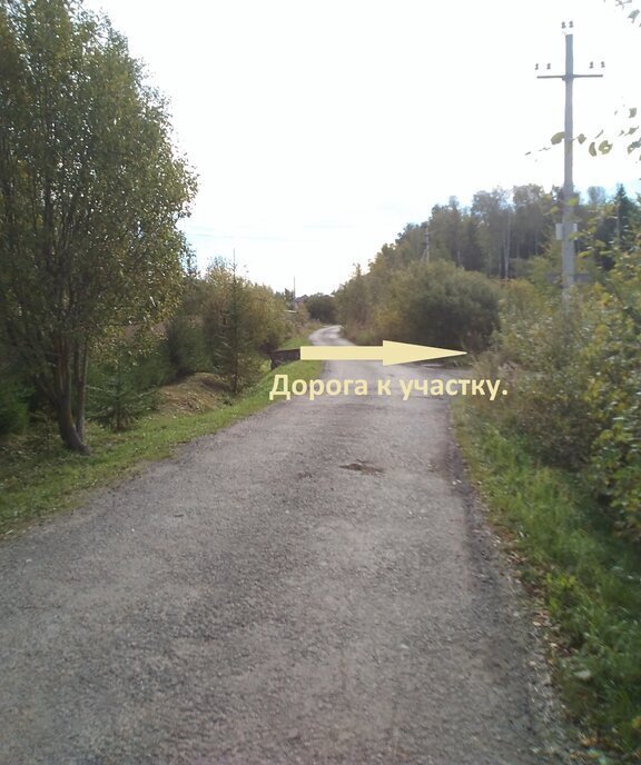 земля городской округ Раменский д Булгаково 166/1 фото 4