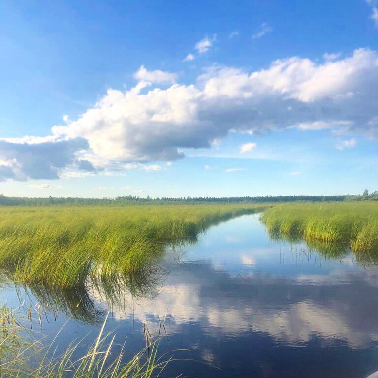 дом р-н Всеволожский д Коккорево Рахьинское городское поселение фото 4