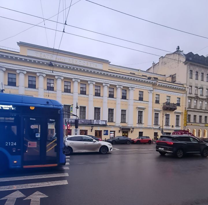 квартира г Санкт-Петербург метро Достоевская пр-кт Владимирский 13/9 фото 38