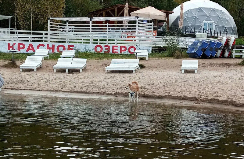 земля р-н Приозерский д Светлое ул Центральная фото 5