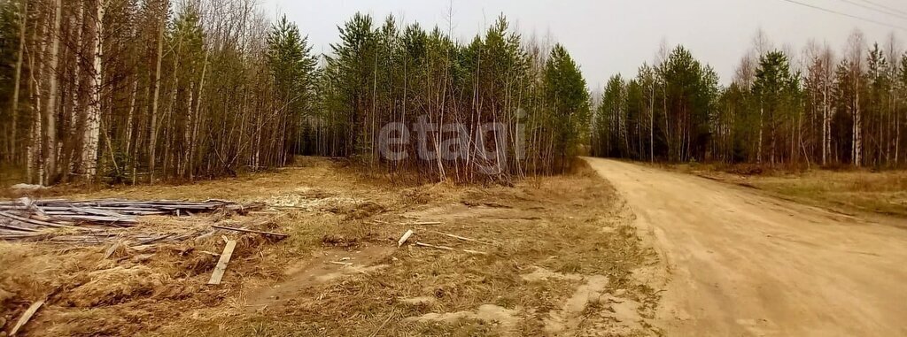 земля р-н Корткеросский п Визябож снт Ельник-1 муниципальное образование Додзь фото 6