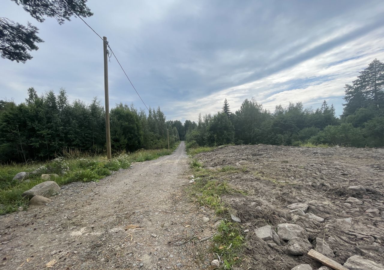 земля р-н Приозерский г Приозерск Трасса Сортавала, 110 км, Приозерское городское поселение фото 11