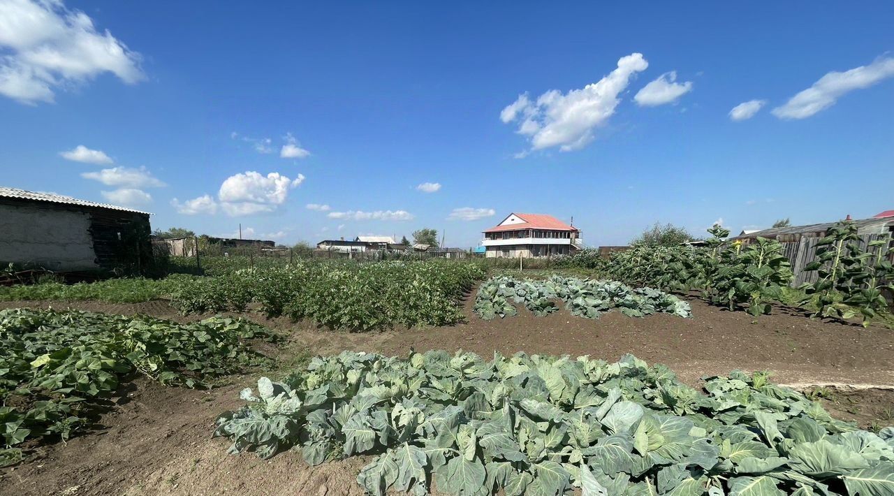 земля р-н Краснокаменский г Краснокаменск мкр индивидуальной застройки 247 фото 5