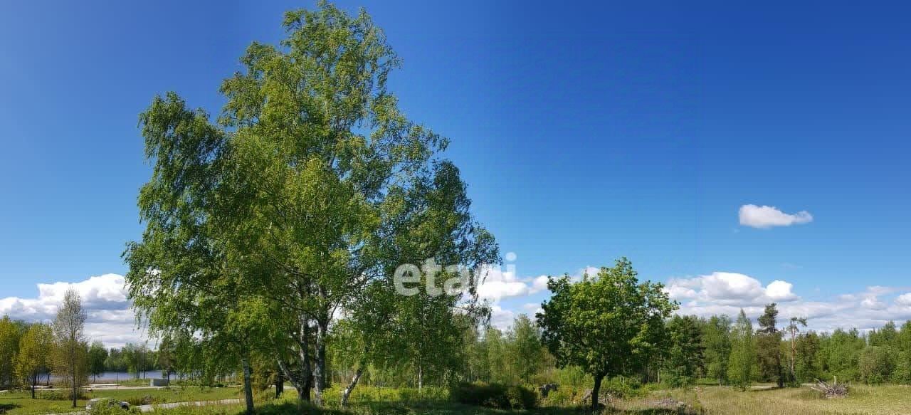 земля р-н Приозерский Ларионовское с/пос, Карелия-Бойцово СНТ фото 5