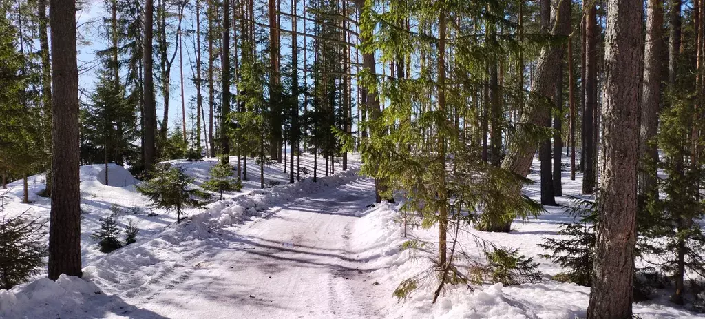 дом р-н Селижаровский нп Турбаза "Чайка" ул Лесная 14 фото 25